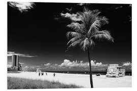 Foam board print Black Florida - Summer Miami Beach