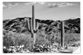 Wall sticker Black Arizona - Tucson Desert Cactus