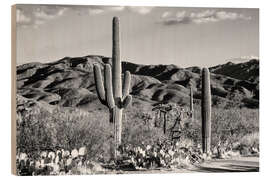 Quadro de madeira Black Arizona - Cacto do deserto de Tucson