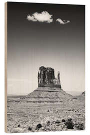 Trebilde Black Arizona - Monument Valley West Mitten Butte