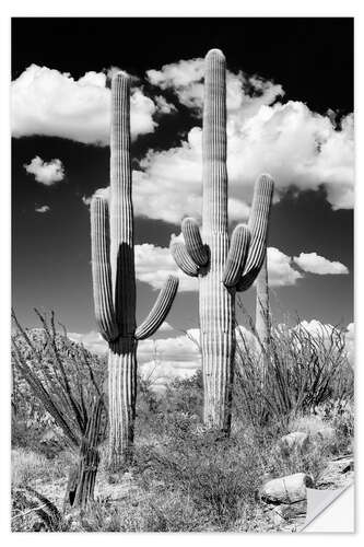Sisustustarra Black Arizona - Two Saguaro Cactus