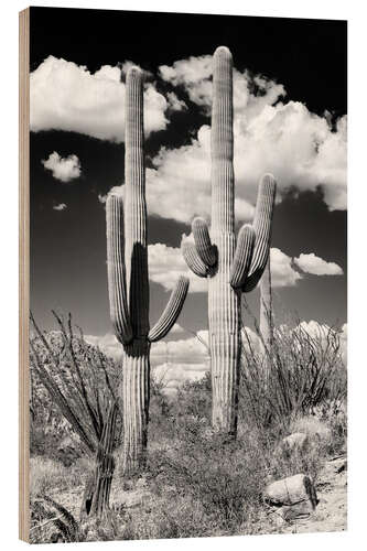 Wood print Black Arizona - Two Saguaro Cactus