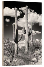 Trätavla Black Arizona - Two Saguaro Cactus