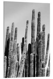 Gallery print Black Arizona - Cactus Family