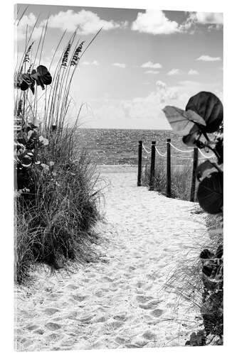 Acrylic print Black Florida Series - Boardwalk Atlantic Ocean