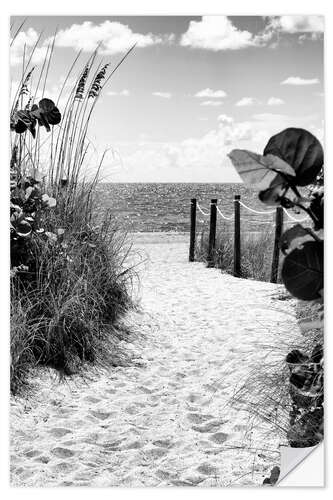 Selvklebende plakat Black Florida Series - Boardwalk Atlantic Ocean