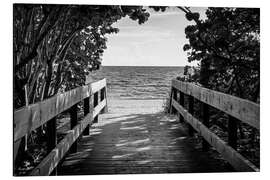 Aluminium print Black Florida - Between the leaves, the beach