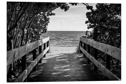 Hartschaumbild Schwarzes Florida - Zwischen den Blättern