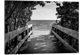 Gallery print Black Florida - Between the leaves, the beach