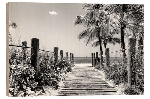 Trebilde Black Florida - Key West beach