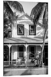 Tableau en aluminium Floride noire - Architecture coloniale