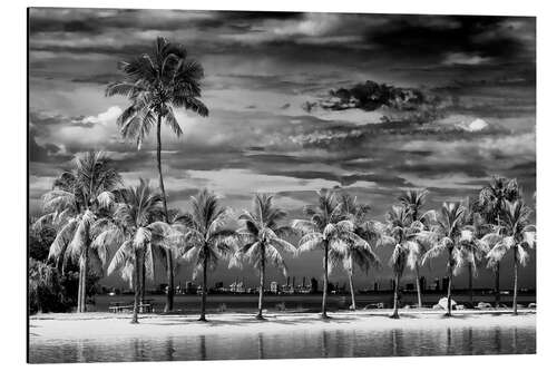 Aluminium print Black Florida - Miami Tropical Summer