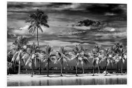 Foam board print Black Florida - Miami Tropical Summer