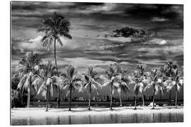 Gallery print Black Florida - Miami Tropical Summer