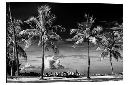 Aluminium print Black Florida - Between Two Palm Trees Miami