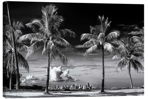 Obraz na płótnie Black Florida - Between Two Palm Trees Miami