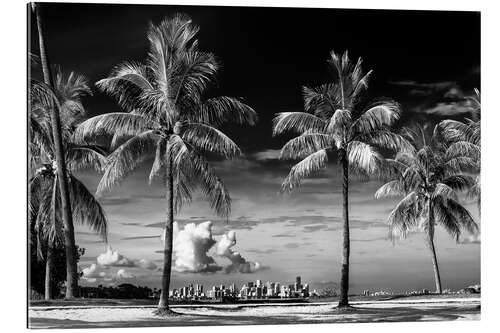 Galleriprint Black Florida - Between Two Palm Trees Miami