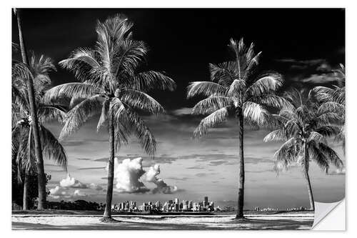 Selvklebende plakat Black Florida - Between Two Palm Trees Miami