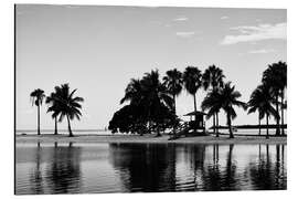 Aluminium print Black Florida - Miami Shadow Beach