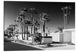 Aluminium print Black California - Retro White House