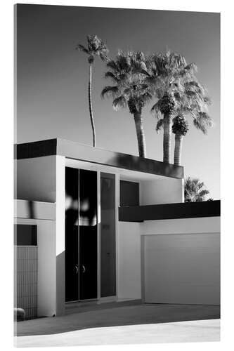 Quadro em acrílico Black California - Palm Springs Design Moderno