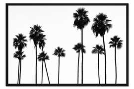Gerahmter Kunstdruck Schwarzes Kalifornien - Palmen LA