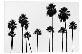 Tableau en PVC Californie noire - Palmiers LA