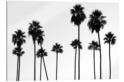 Gallery print Black California - Palm Trees L.A