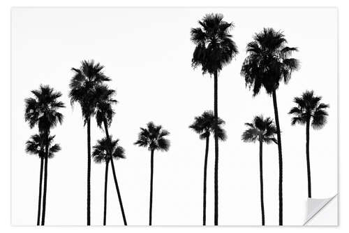 Wall sticker Black California - Palm Trees L.A