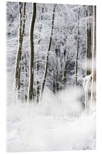 Akrylbilde Trees in the snow