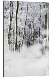 Aluminiumsbilde Trees in the snow