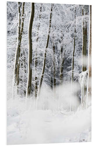 Foam board print Trees in the snow