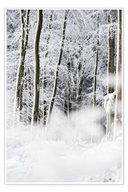 Poster Arbres dans la neige