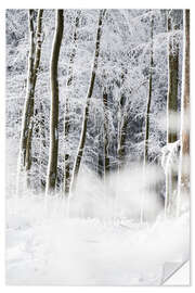 Wall sticker Trees in the snow