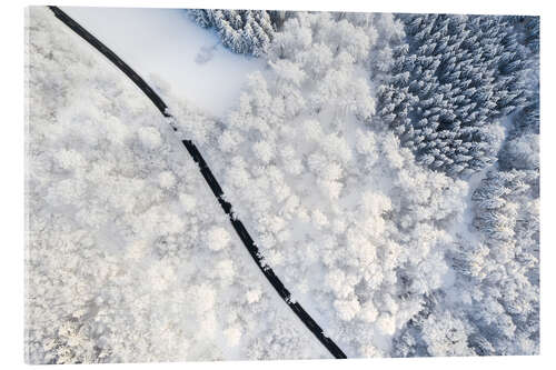 Acrylic print Road through winter forest I