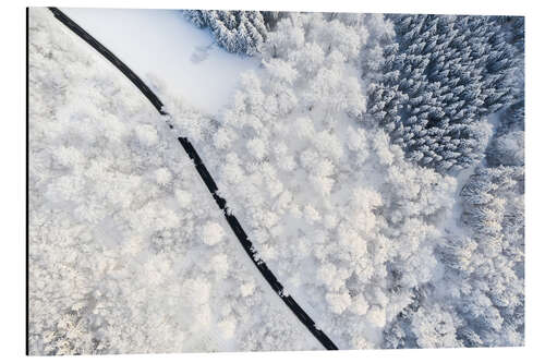 Alubild Straße durch Winterwald I