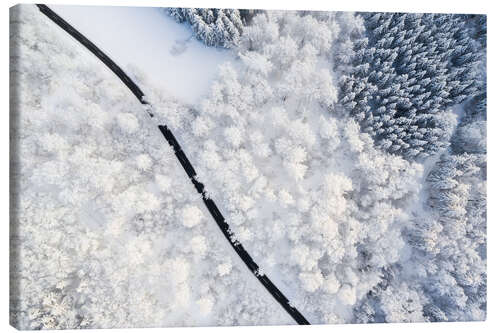 Canvas-taulu Road through winter forest I