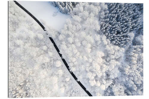 Gallery Print Straße durch Winterwald I