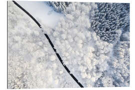 Gallery print Road through winter forest I