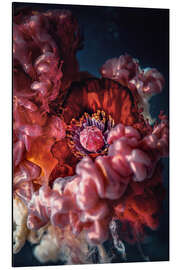 Magnettafel Mohn Art