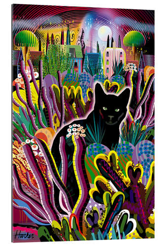 Tableau en plexi-alu Chat noir dans le jardin de nuit