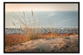 Gerahmter Kunstdruck Gräser am Morsumer Klif, Sylt
