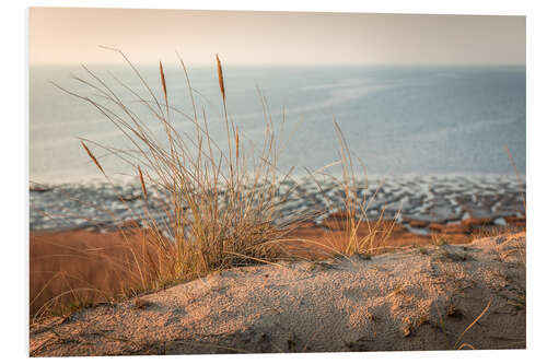 Foam board print Grasses on Morsumer Klif, Sylt