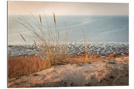 Gallery print Grasses on Morsumer Klif, Sylt