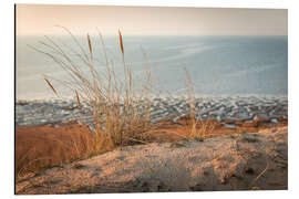 Magnettafel Gräser am Morsumer Klif, Sylt