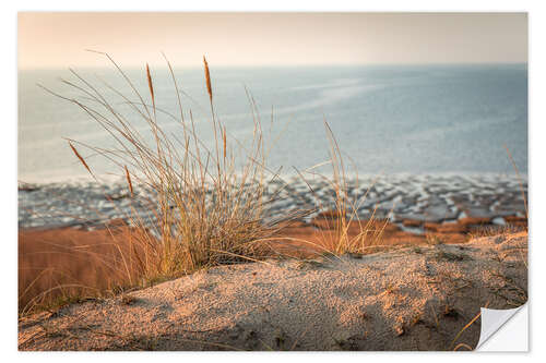 Selvklebende plakat Grasses on Morsumer Klif, Sylt