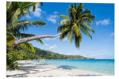 Foam board print Matira Beach on Bora Bora