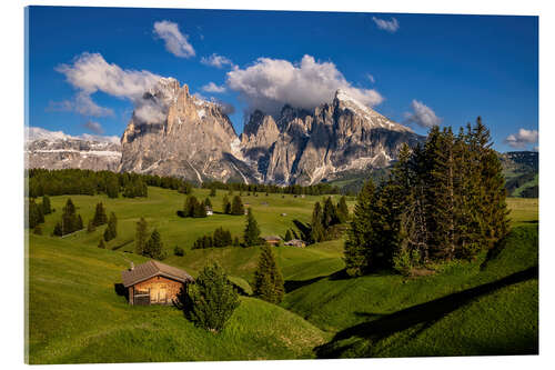 Cuadro de metacrilato Verano en el Alpe di Siusi en Tirol del Sur