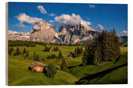 Holzbild Sommer auf der Seiser Alm in Südtirol