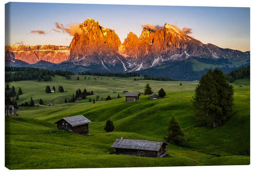 Canvastavla Alpenglow on the Alpe di Siusi in South Tyrol